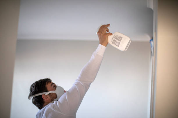 Best Residential Mold Removal  in Linthicum, MD