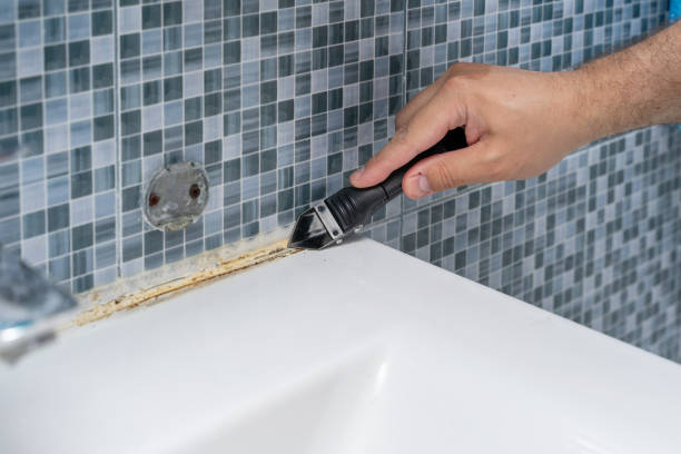 Best Certified Mold Removal  in Linthicum, MD
