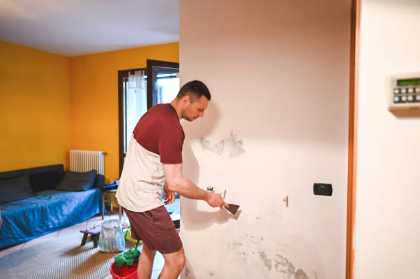 Best Professional Mold Removal  in Linthicum, MD