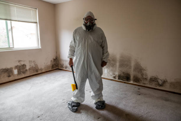 Best Toxic Mold Removal  in Linthicum, MD